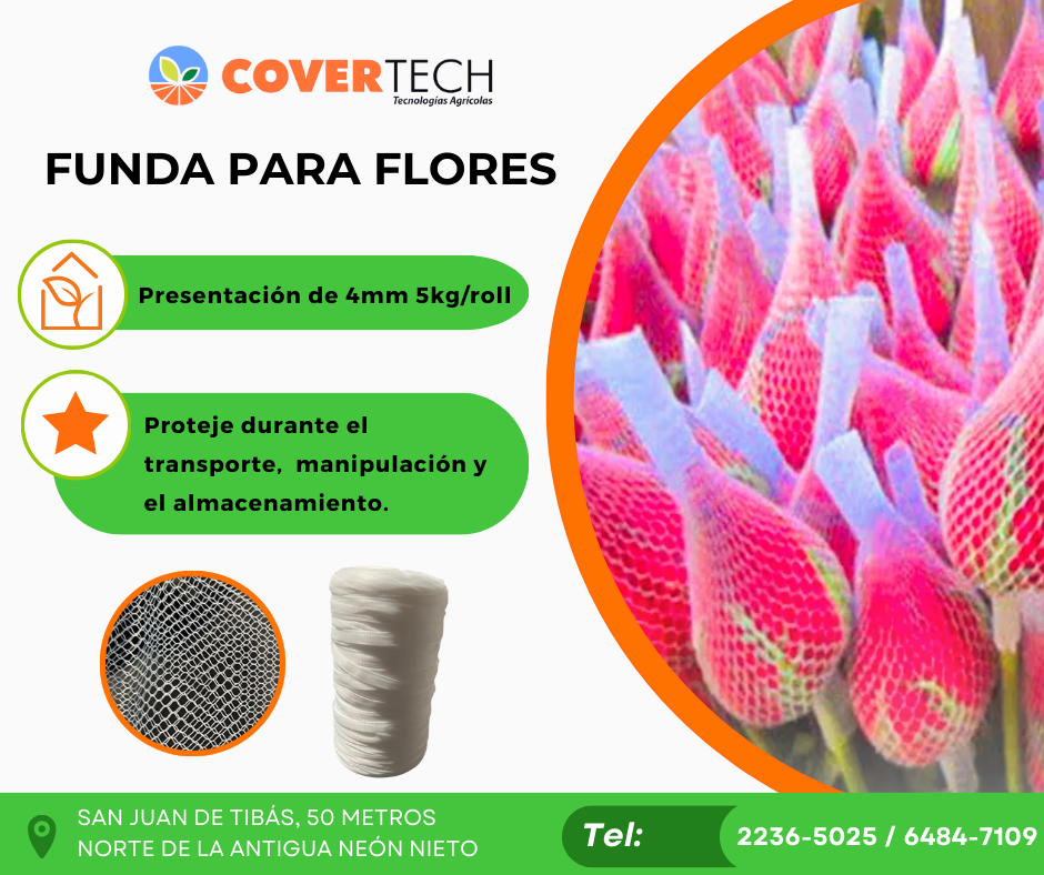 Funda para flores.png