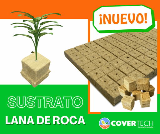 [30100-LC12] Sustrato de lana Roca 50 celdas 1"