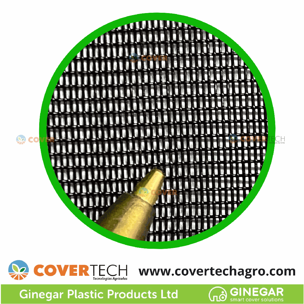 219930-3.0GR100 2.png