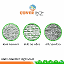 aLUMINET 3.png