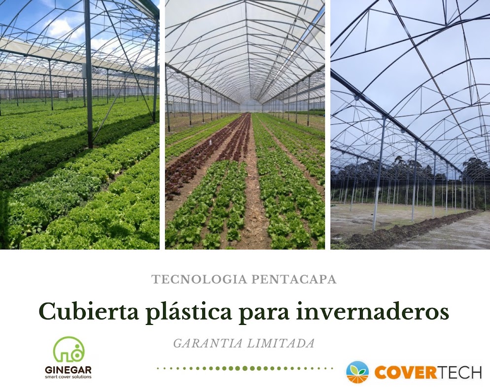 IMG-20210302-WA0124 (1) - copia.jpg