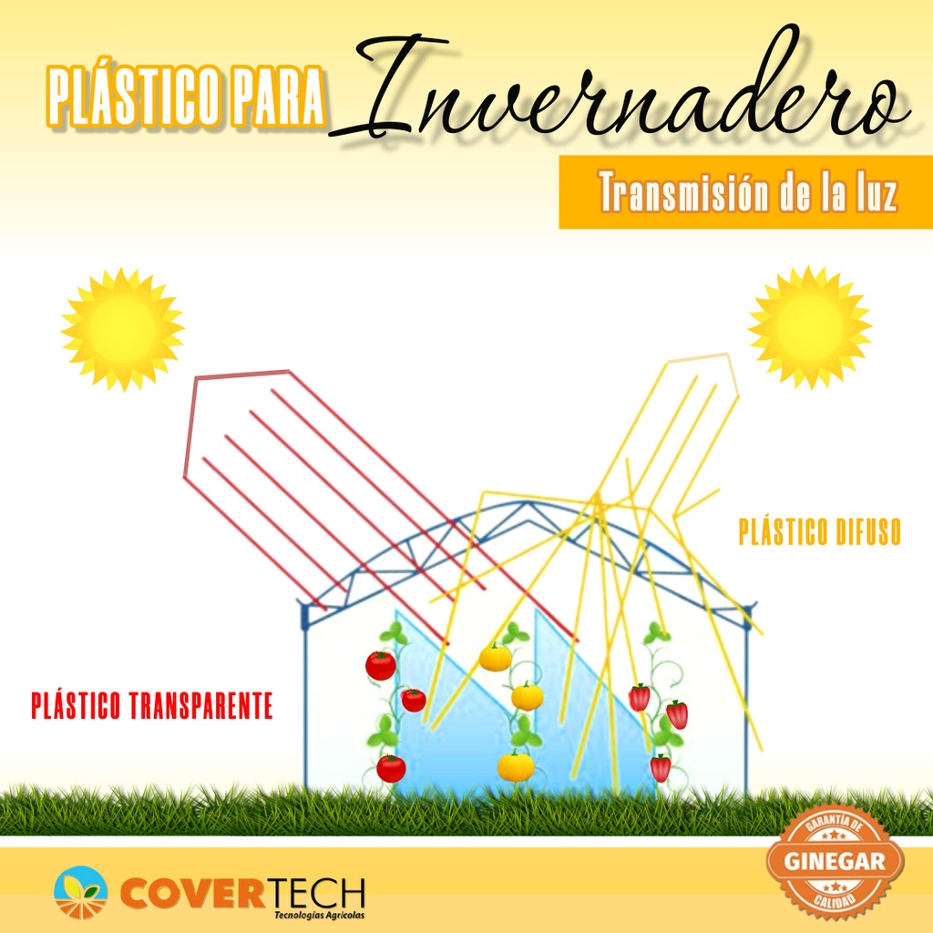 church conference (1).jpg