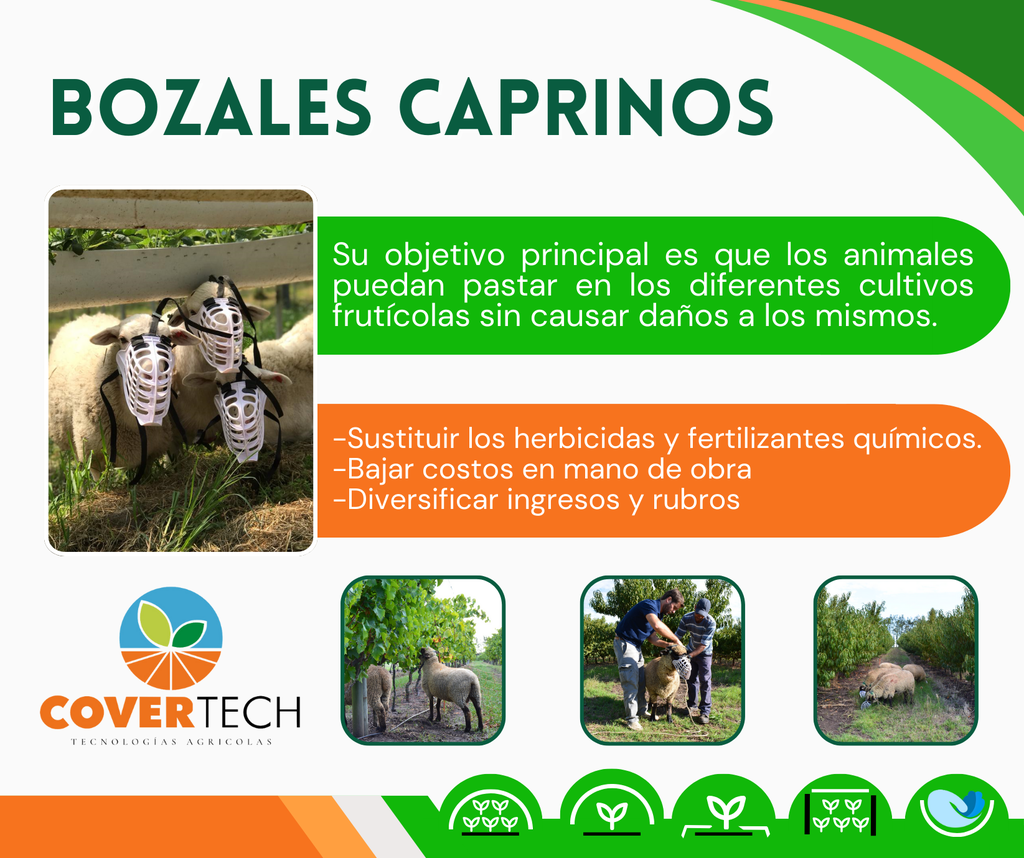 Bozales corto Erick.png