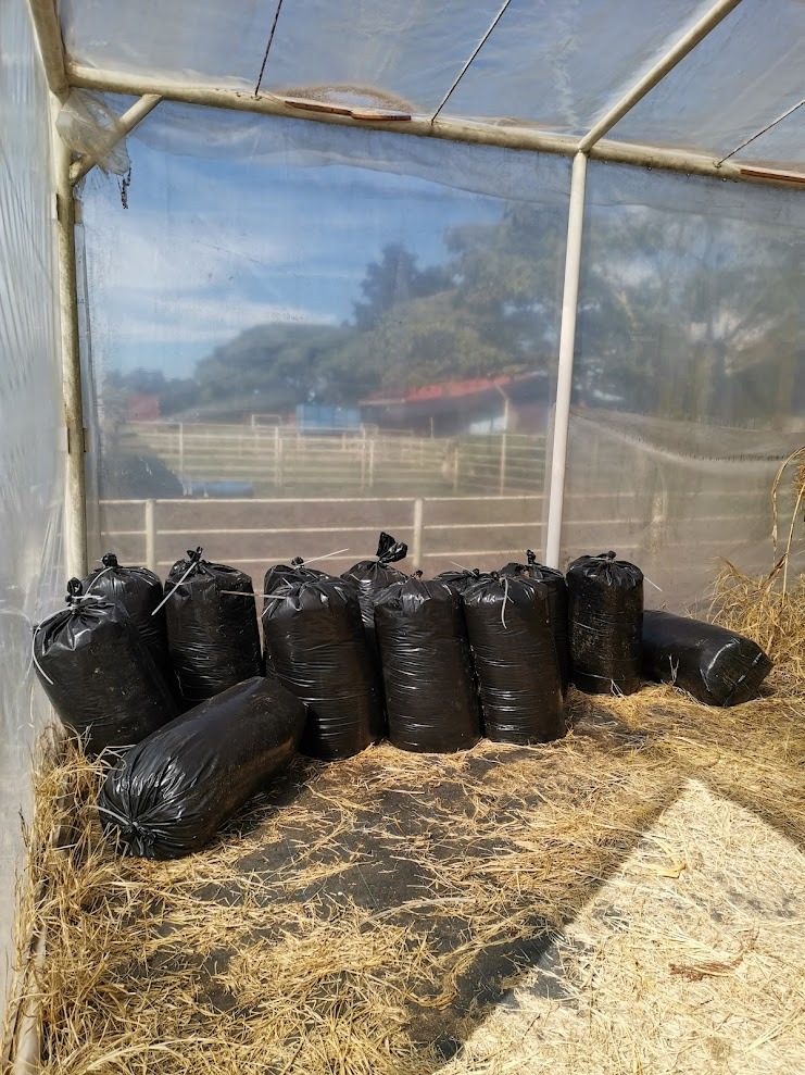 WhatsApp Image 2026-02-17 at 11.26.59 AM.jpeg