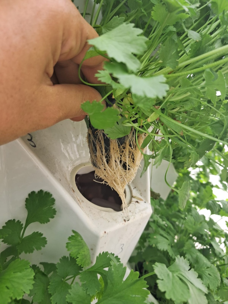 WhatsApp Image 2026-03-03 at 8.06.09 AM.jpeg