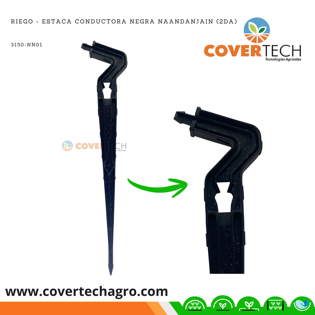 Riego - Estaca conductora Negra Naandanjain (2da)