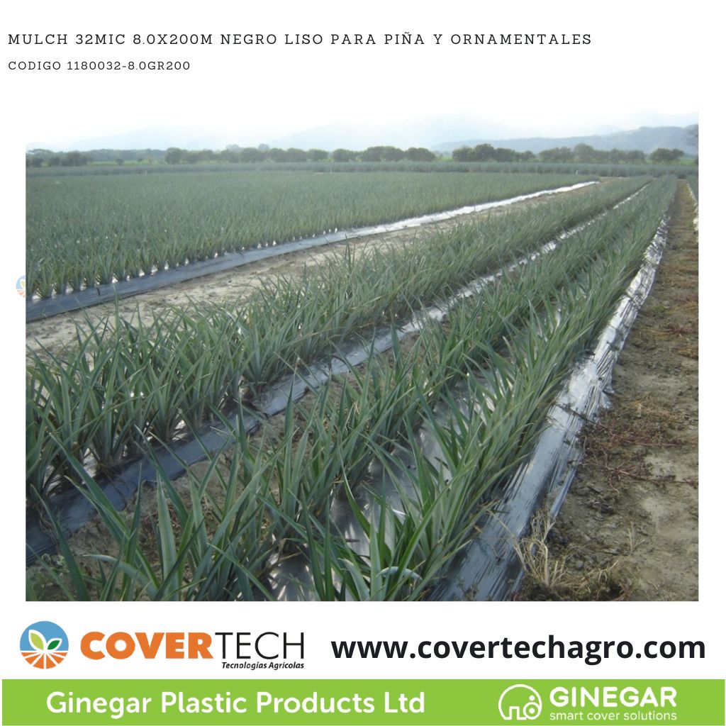  Acolchado Mulch 32MIC 8.0x200m Negro/Negro Liso