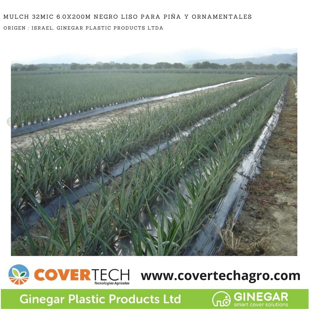 [1180032-6.0GR200]  Acolchado Mulch 32MIC 6.0x200m Negro Liso