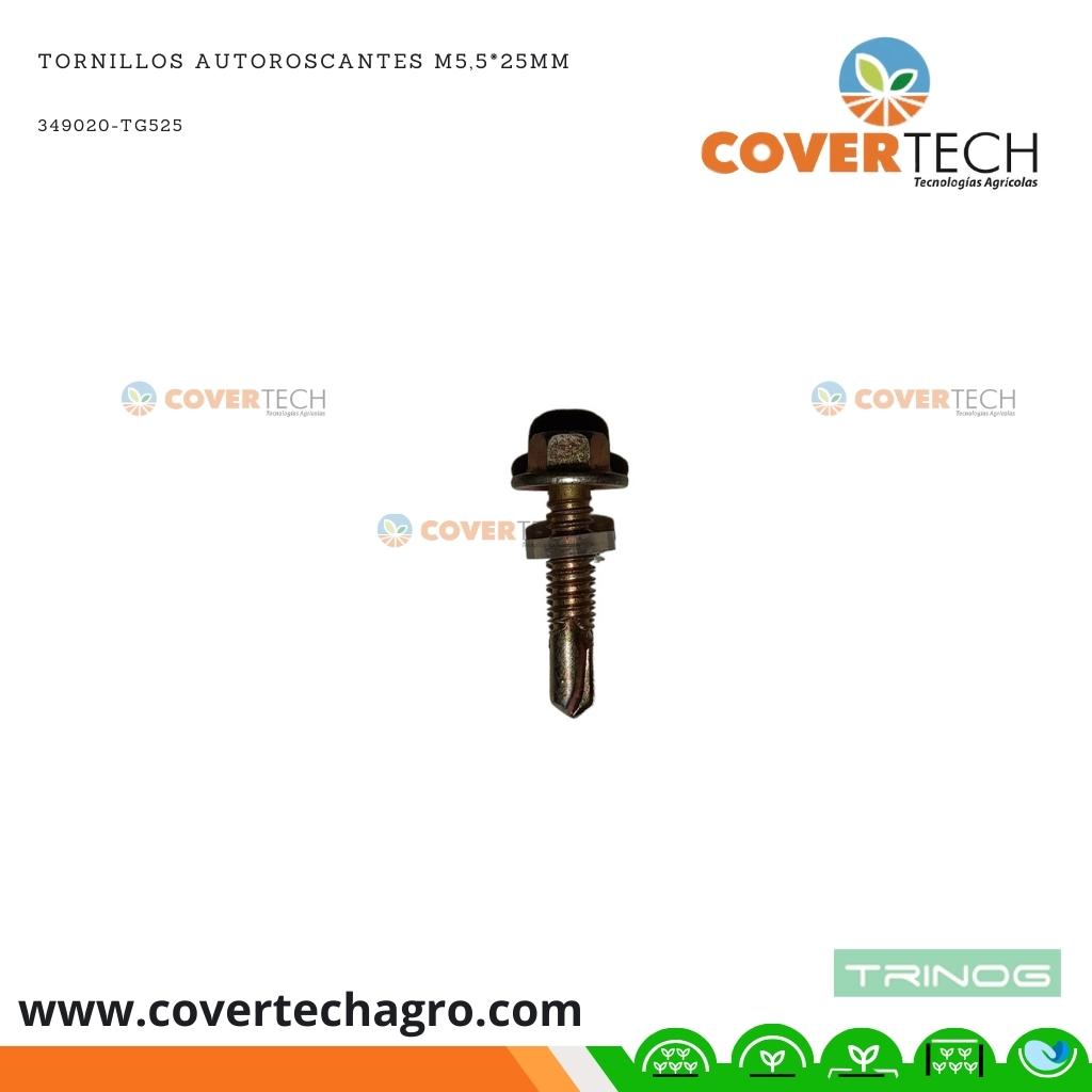 [349020-TG525]  Tornillos autoroscantes M5,5*25mm