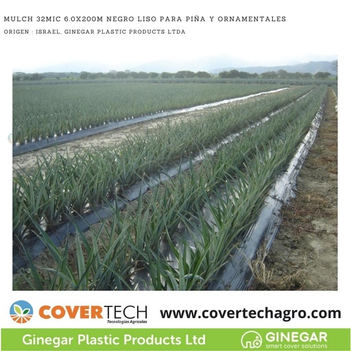 [1180032-6.0GR200]  Acolchado Mulch 32MIC 6.0x200m Negro Liso