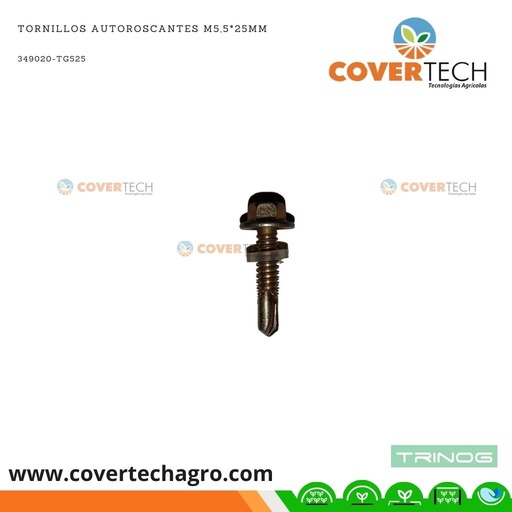 [349020-TG525]  Tornillos autoroscantes M5,5*25mm