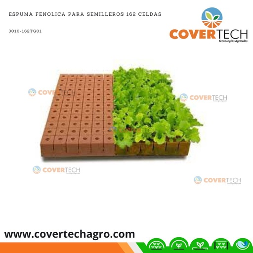 [3010-162TG01]  Espuma fenolica para semilleros 162 celdas